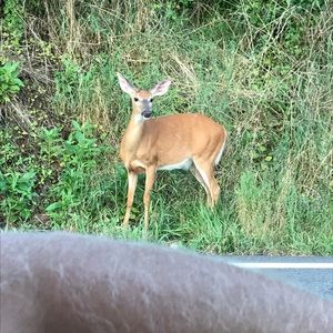 Meet your Posher, Cindy